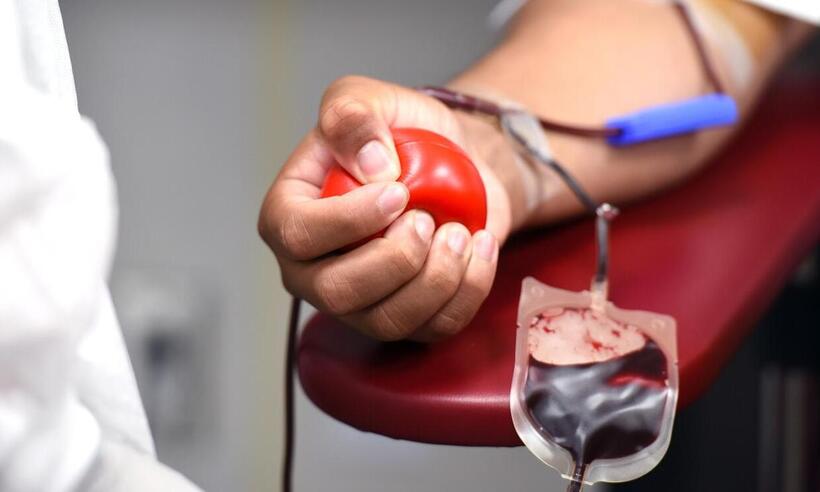 Bancos de sangue sofrem queda de 30% em seus estoques no inverno -  Michelle Gordon/Pixabay