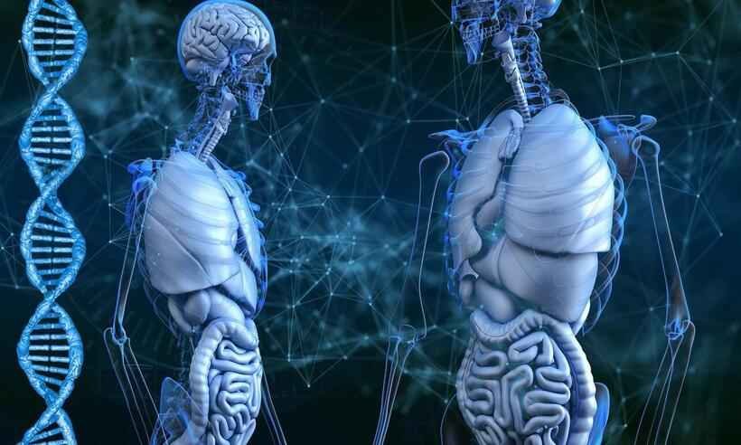 Conheça 7 biomarcadores usados pela medicina para verificar sua saúde -  Victoria_Regen/Pixabay