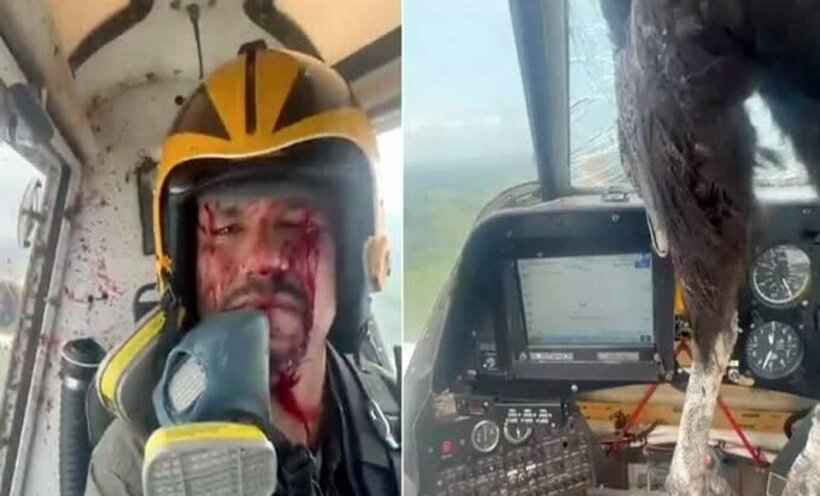 Vídeo: piloto é surpreendido após ave ficar presa em cabine de avião - Twitter/Reprodução