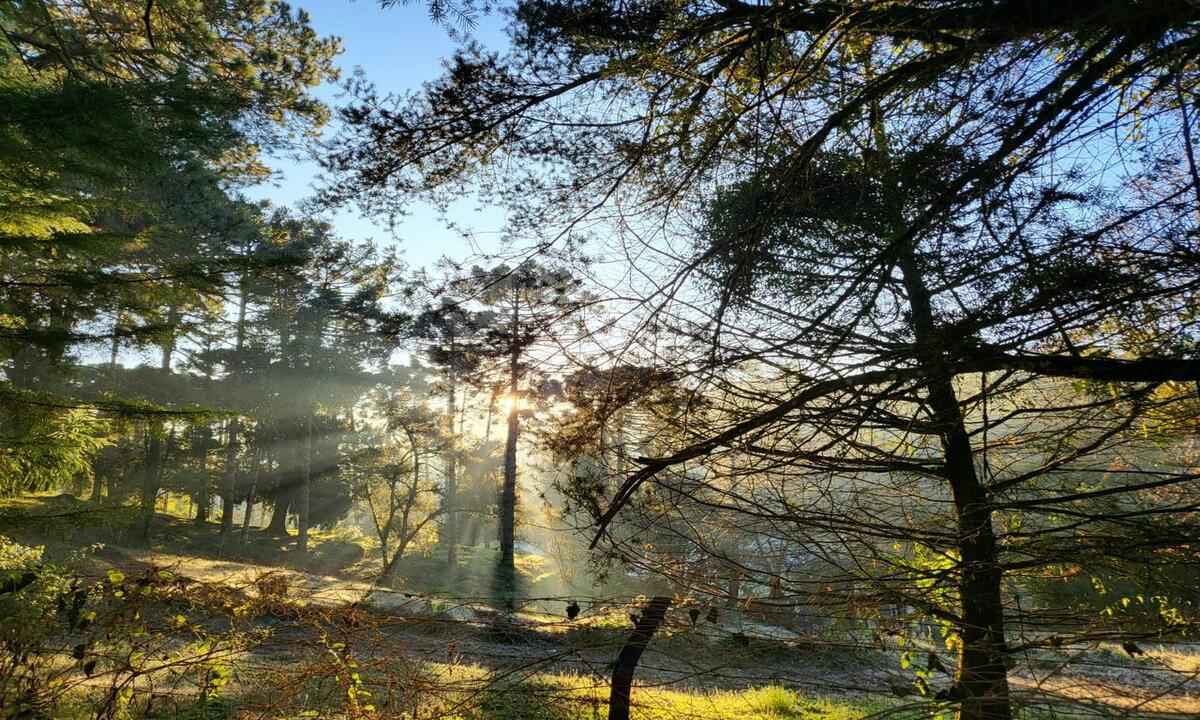 Distrito de MG registra a terceira menor temperatura do país - Move/Divulgação