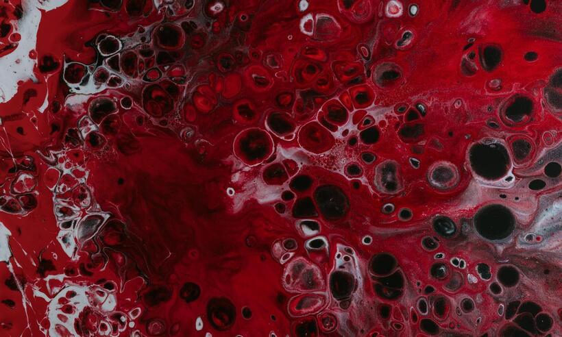 Anemia: descubra quais doenças afetam as células sanguíneas -  Pawel Czerwinski/Unsplash

