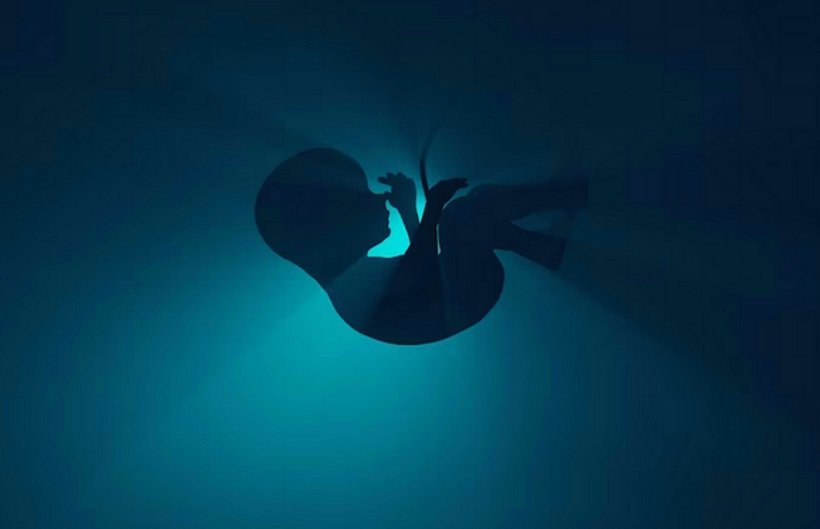 Lei inclui ecocardiografia fetal como exame de rotina para gestantes  - Freepik