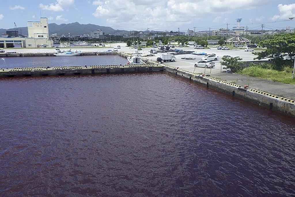 Vazamento em fábrica de cerveja deixa baía vermelha no Japão - Handout / The 11th Regional Coast Guard Headquarters / AFP
