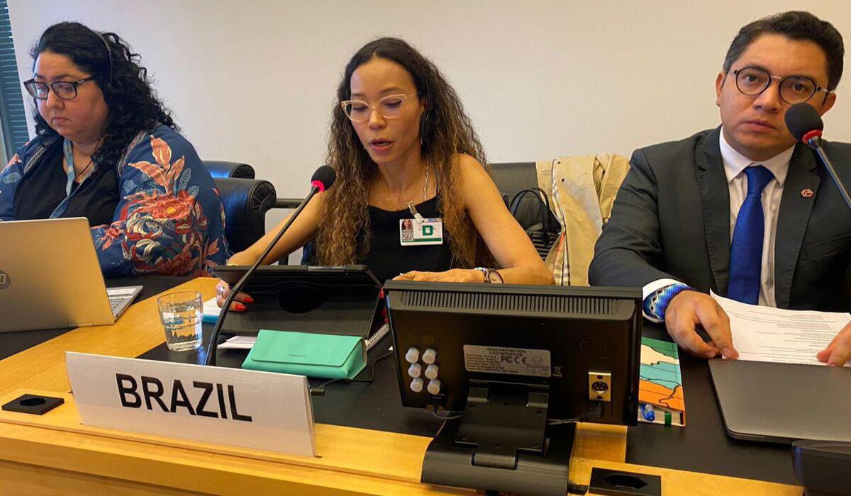 Brasil participa da 138ª Sessão do Comitê de Direitos Humanos da ONU - Isabel Carvalho/MDHC