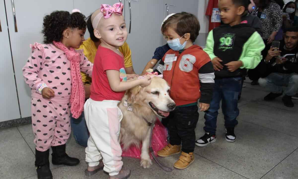 Cadela 'visita' Santa Casa BH e alegra o dia das crianças em tratamento - Edesio Ferreira/EM/D.A Press