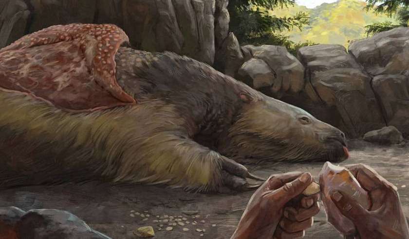 Pingentes feitos de ossos de preguiça-gigante são encontrados no Brasil - Divulgação/Júlia D'Oliveira