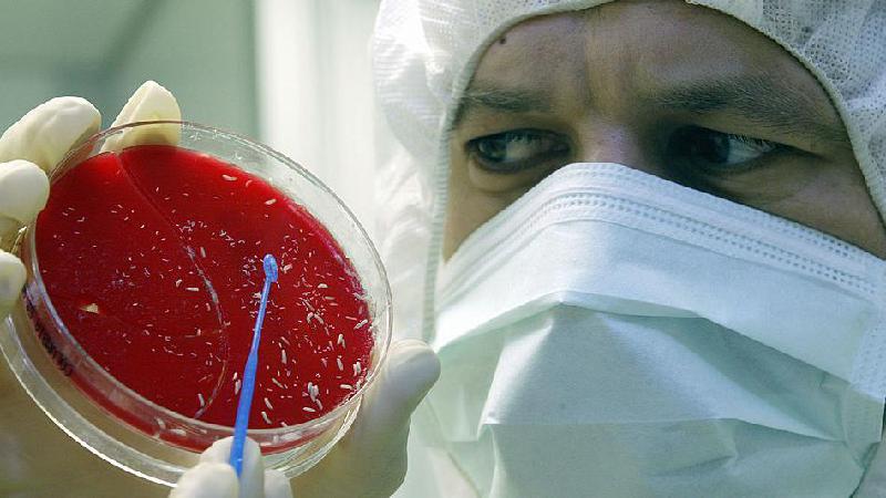 A técnica 'primitiva' de curar feridas com larvas que virou arma contra esgotamento de antibióticos - Getty Images