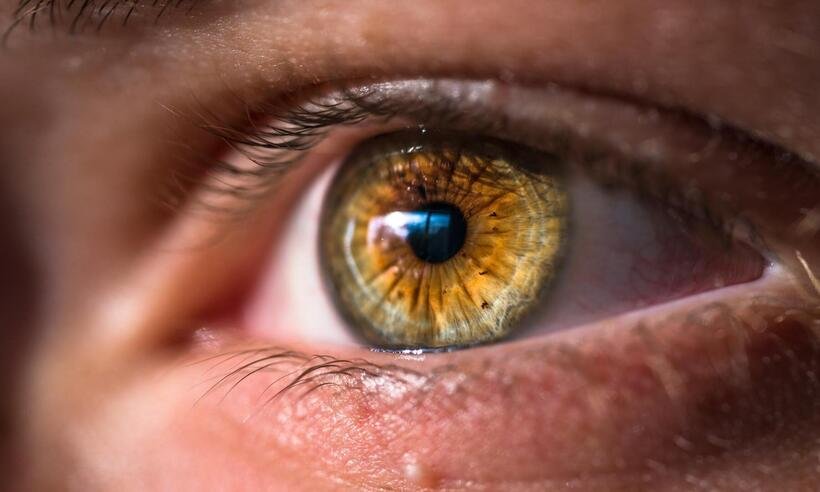  Tratamento tardio tem provocado cegueira e deficiência visual - Joel Staveley/Unsplash