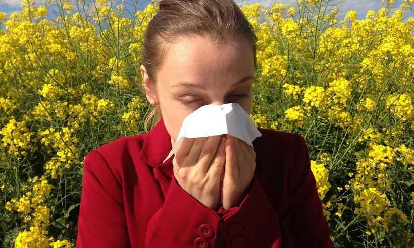 Alergia, quem não tem uma para 'chamar de sua' ?  - Corina /Pixabay
