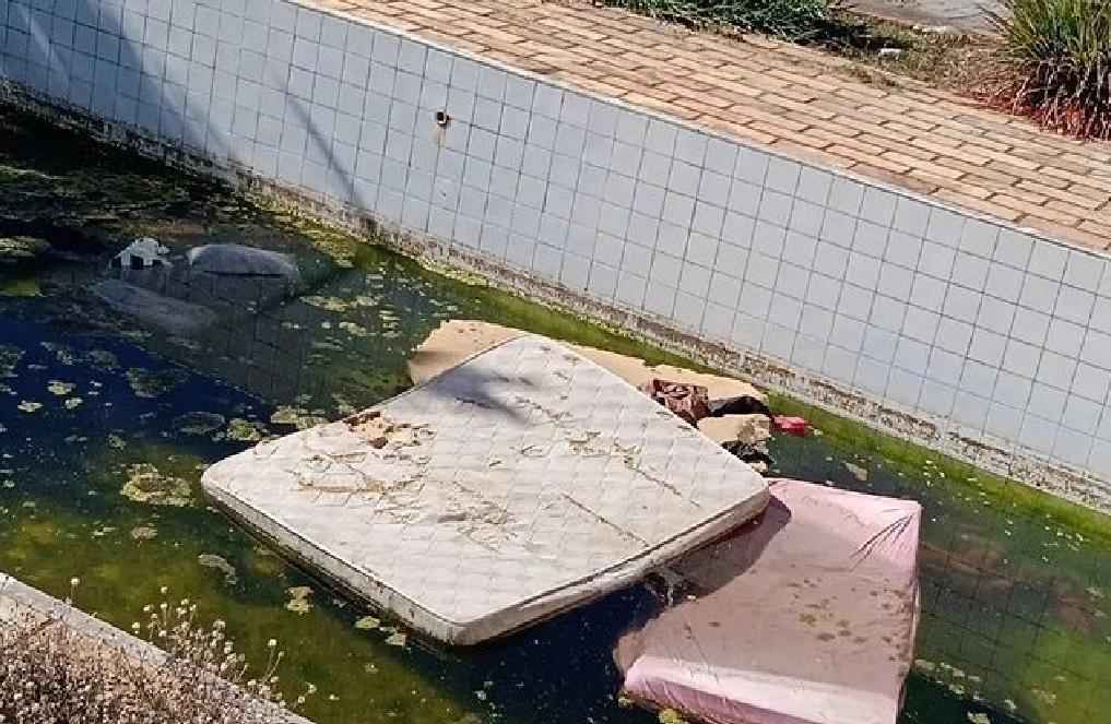 Casa em estado de abandono tem cachorro morto em piscina e ameaça segurança - Divulgação/arquivo pessoal