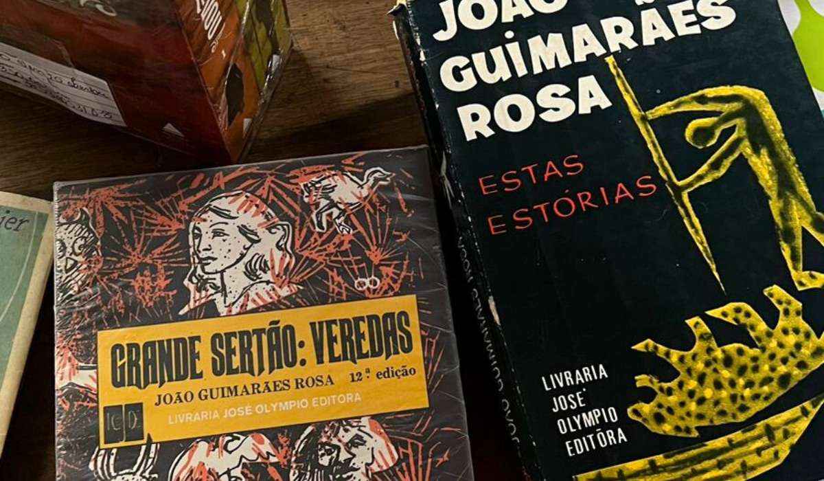  Sebos de Belo Horizonte: conheça a Savassi Livros Novos e Usados - Ana Clara Parreiras