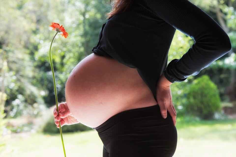 5 maneiras inusitadas de proteger a saúde reprodutiva - Pixabay