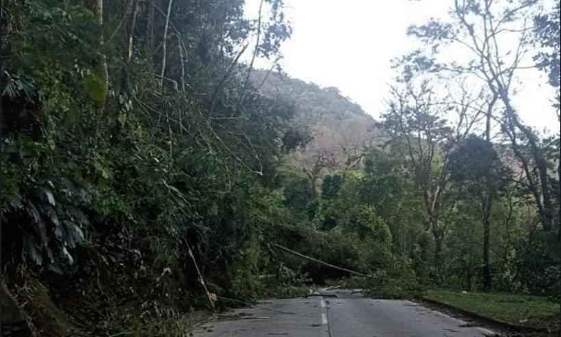 Vendaval derruba árvores na BR-040, em Juiz de Fora   - Concer