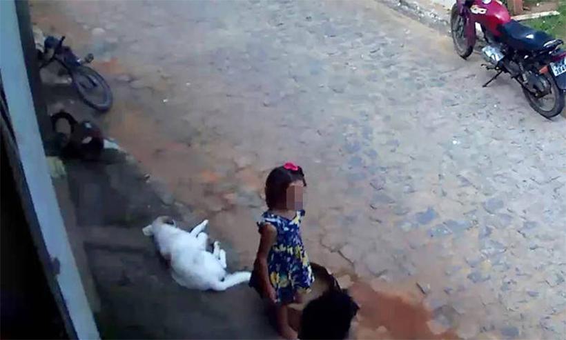 Bombeiros e polícia buscam criança desaparecida há 11 dias na Paraíba - Reprodução/TV Cabo Branco