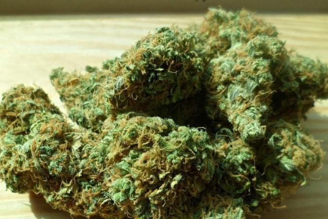 Estudo descarta uso de maconha associado ao surgimento da psicose