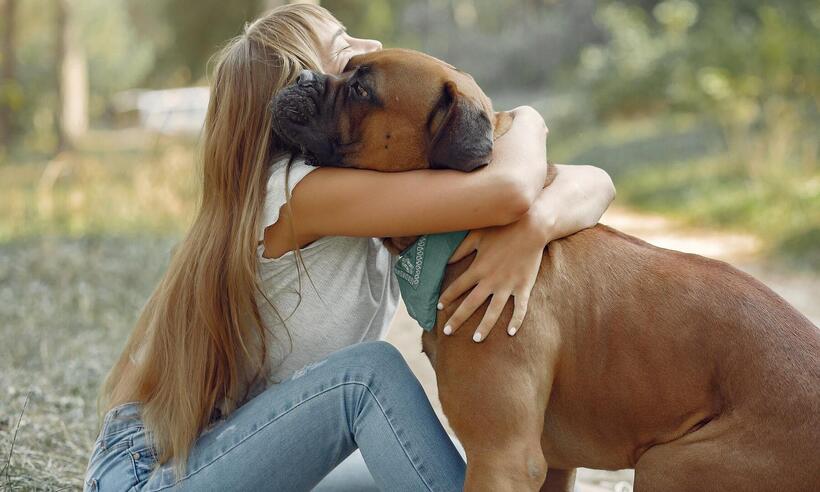  Dia do Amigo: relação entre tutores e cães influencia na saúde de ambos - Prostooleh/ Freepik