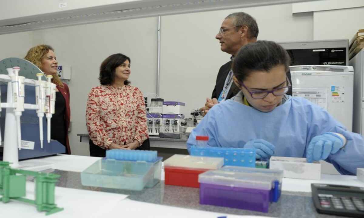 Vacina da UFMG contra cocaína e crack: teste terá aporte de R$ 10 milhões - Raphaella Dias/UFMG
