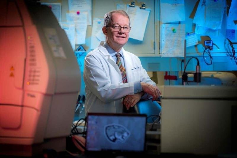 Infertilidade: cientistas avançam em pesquisas para descobrir a causa  - (Michael Holahan, Universidade Augusta)