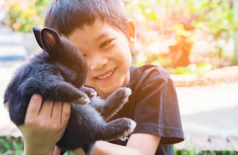 Férias escolares e o convívio das crianças com os animais de estimação