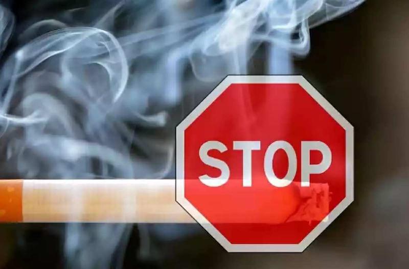 Combate ao tabagismo tem aliado em remédio feito com plantas - (Pixabay)