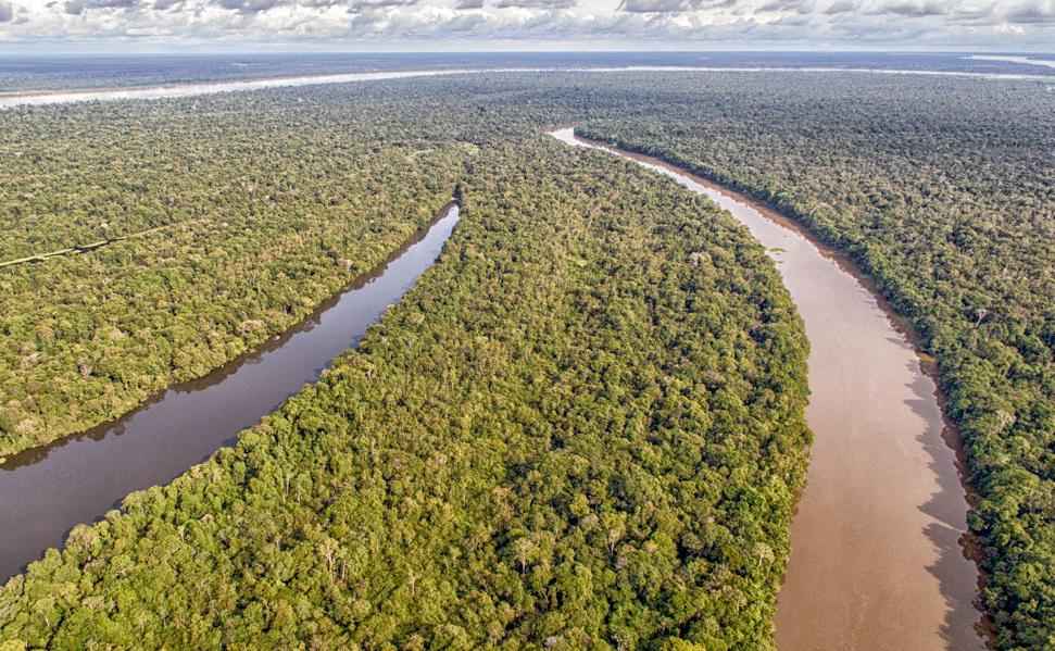 Temos que usar o melhor da ciência para preservar a Amazônia, diz diretor da Nasa - Marcello Nicolato /Creative Commons