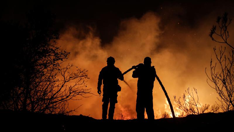 Grécia: Incêndios arrasam ilha turística de Rodes - EPA-EFE/REX/Shutterstock