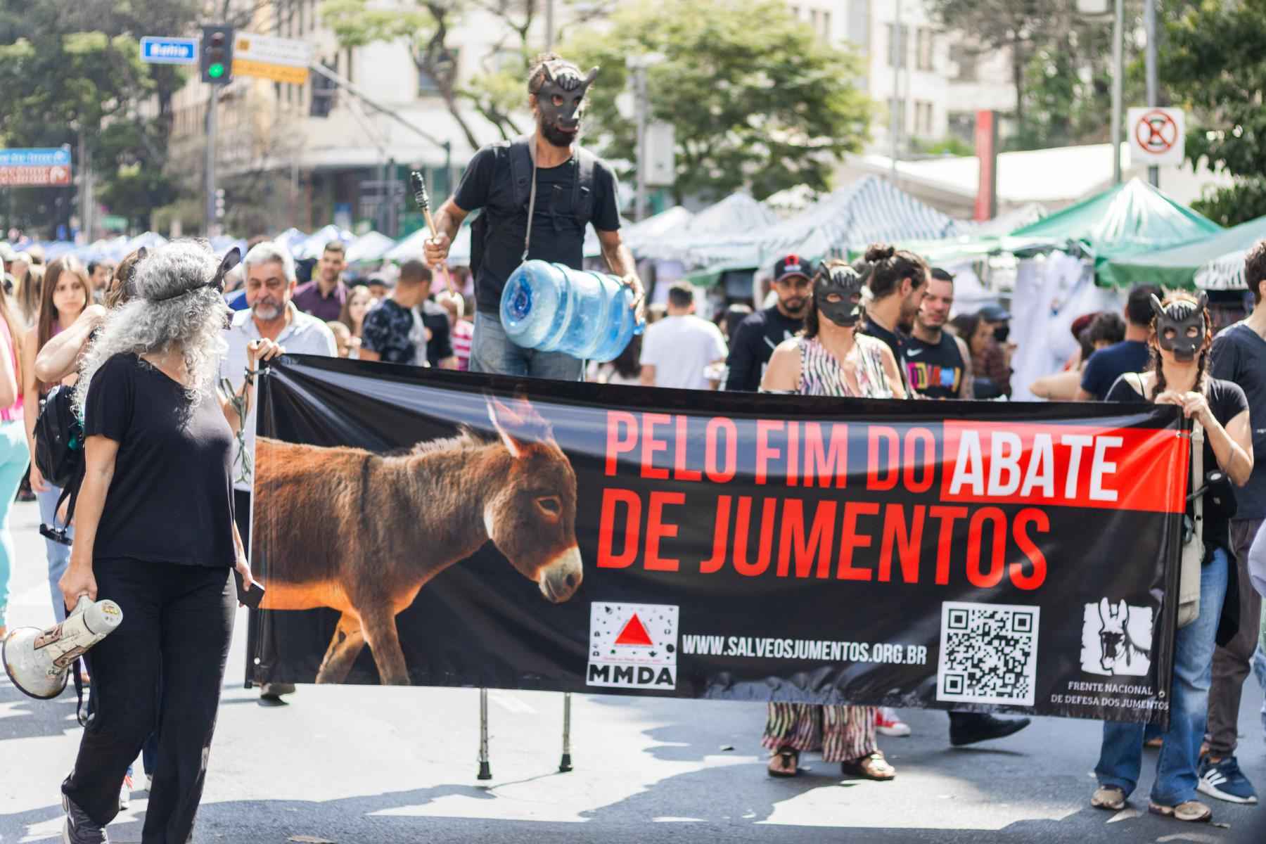Protesto pede o fim do abate de jumentos em todo o Brasil - Davi Santos/Movimento Mineiro Pelos Direitos Animais