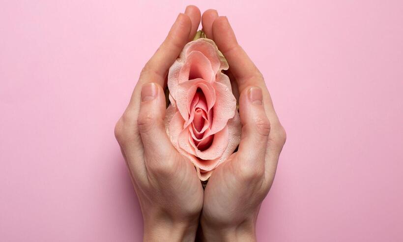 Guia dos tipos de vagina: entenda a anatomia para dar fim a mitos e tabus - Pickisuperstar/Freepik

