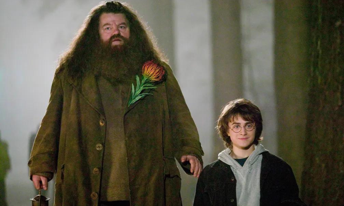 Aniversário do Harry Potter: como a saga bruxa influenciou a cultura de fãs - Warner Bros/Divulgação