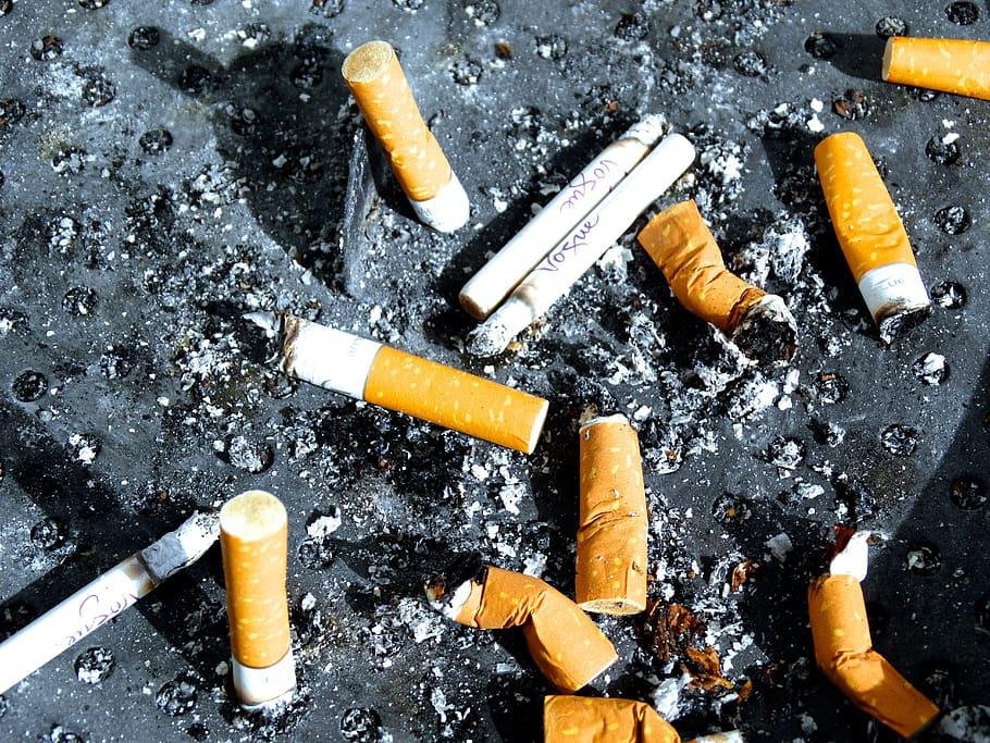 OMS diz que medidas contra tabaco protegem 71% da população mundial - Pxfuel