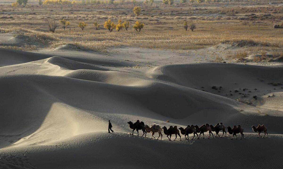 'Mar da Morte': turistas morrem em travessia sob 70ºC no deserto na China - China Daily/Divulgação