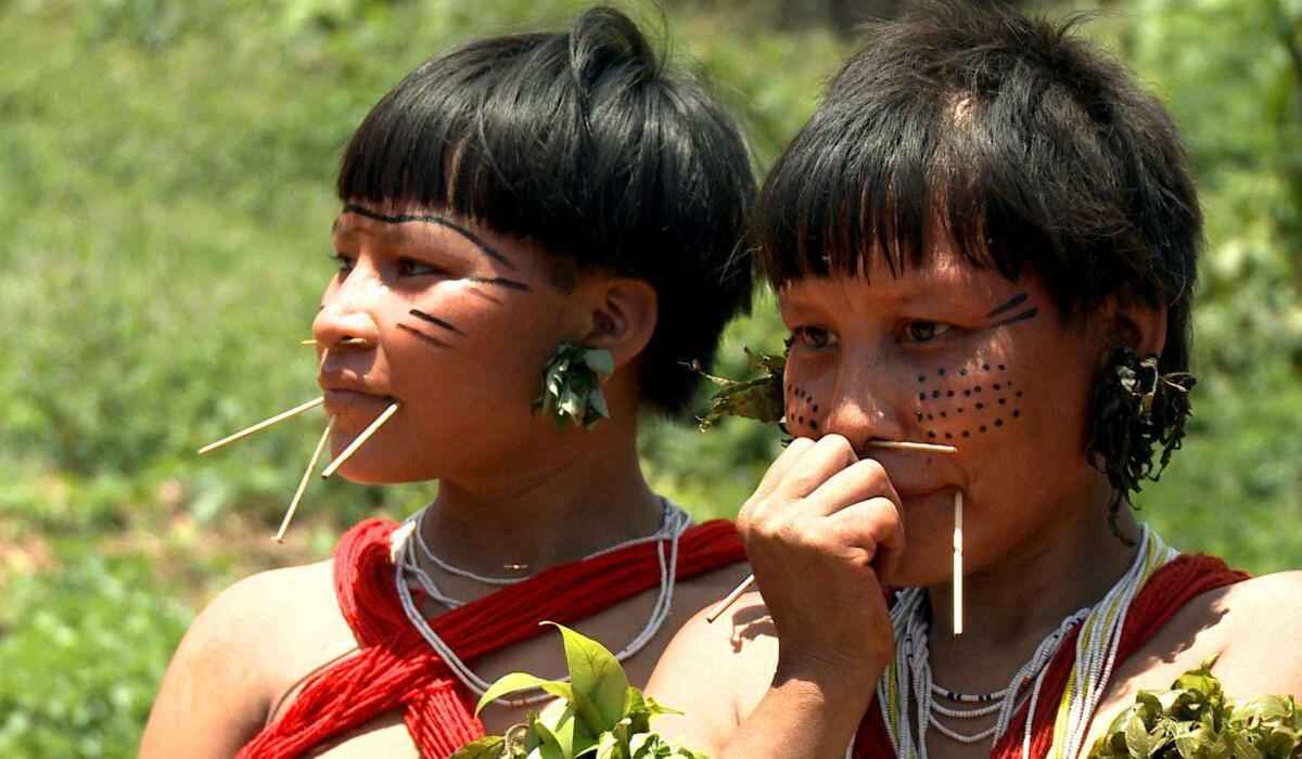 'ONGs e Magalu ajudam a financiar fome de Yanomamis' diz Silvia Waiãpi - EBC/TV Brasil