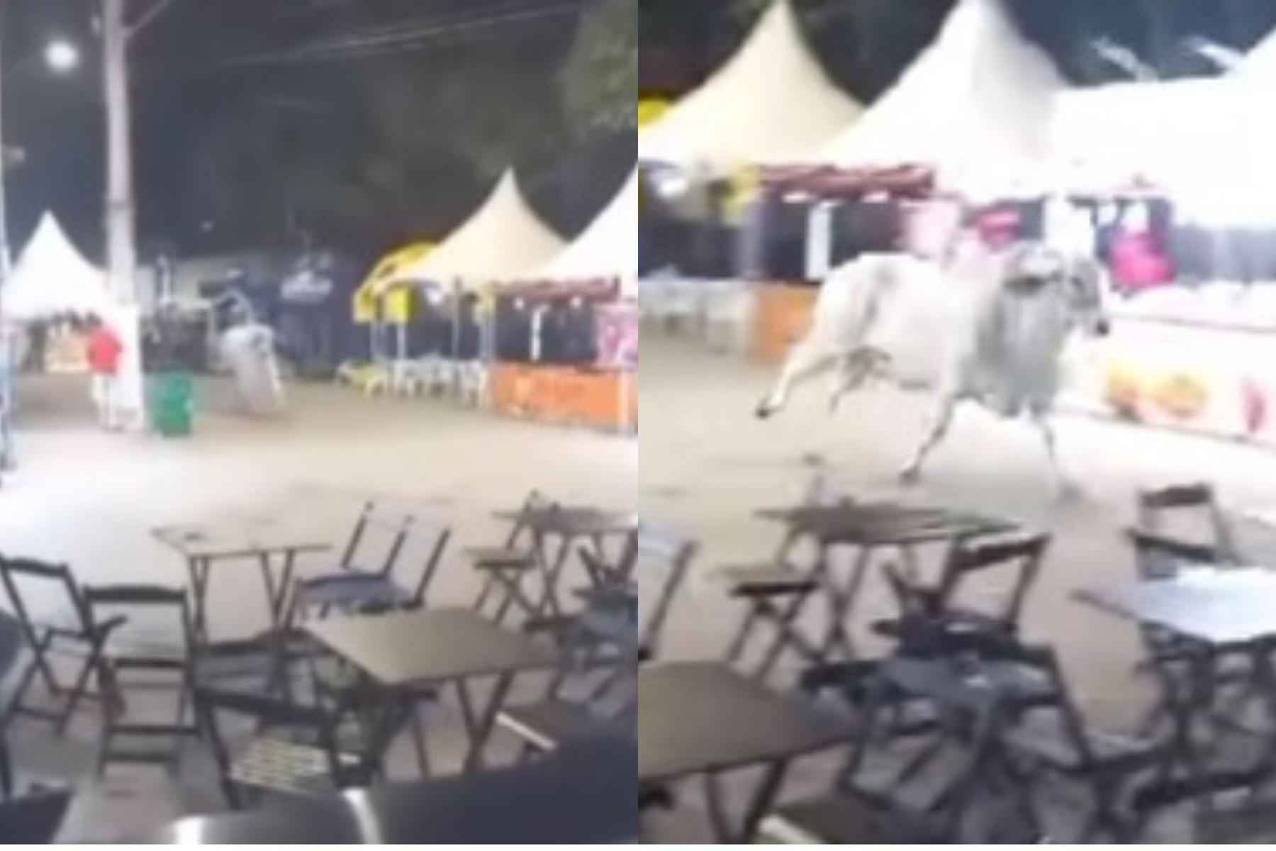 Vídeo: Boi foge durante exposição e causa correria no interior de MG - Reprodulçai/Facebook