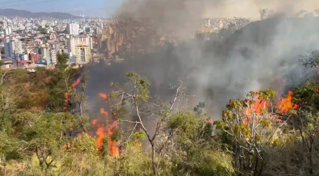 Novo incêndio atinge Parque Renato Azeredo no bairro Palmares - Reprodução/Corpo de Bombeiros