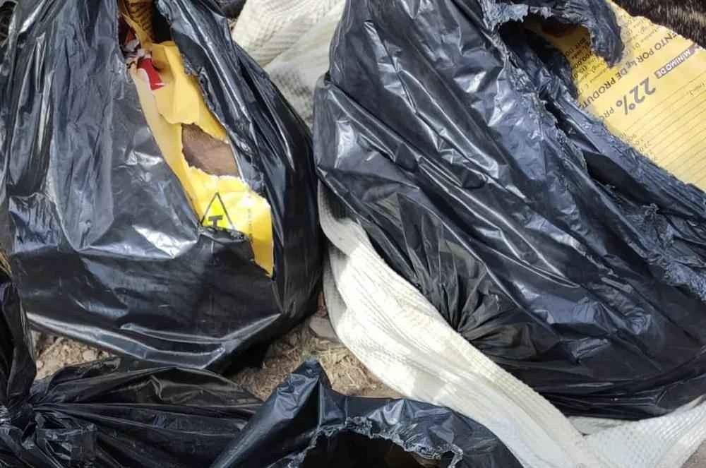 Cães e gato mortos dentro de sacolas são encontrados em depósito de entulho - Divulgação/GCMBH