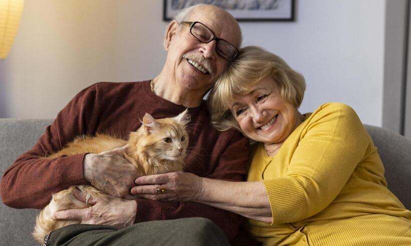 Pets são companheiros preciosos para os idosos; saiba a razão - Freepik