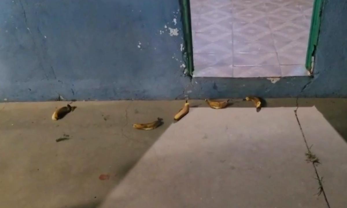 Polícia procura suspeito de jogar bananas em Centro de Capoeira de Uberaba - Redes Sociais/Divulgação