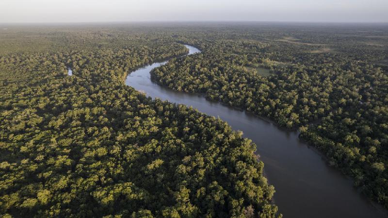 Rio Amazonas é o maior do mundo? Expedição vai medir  - Getty Images