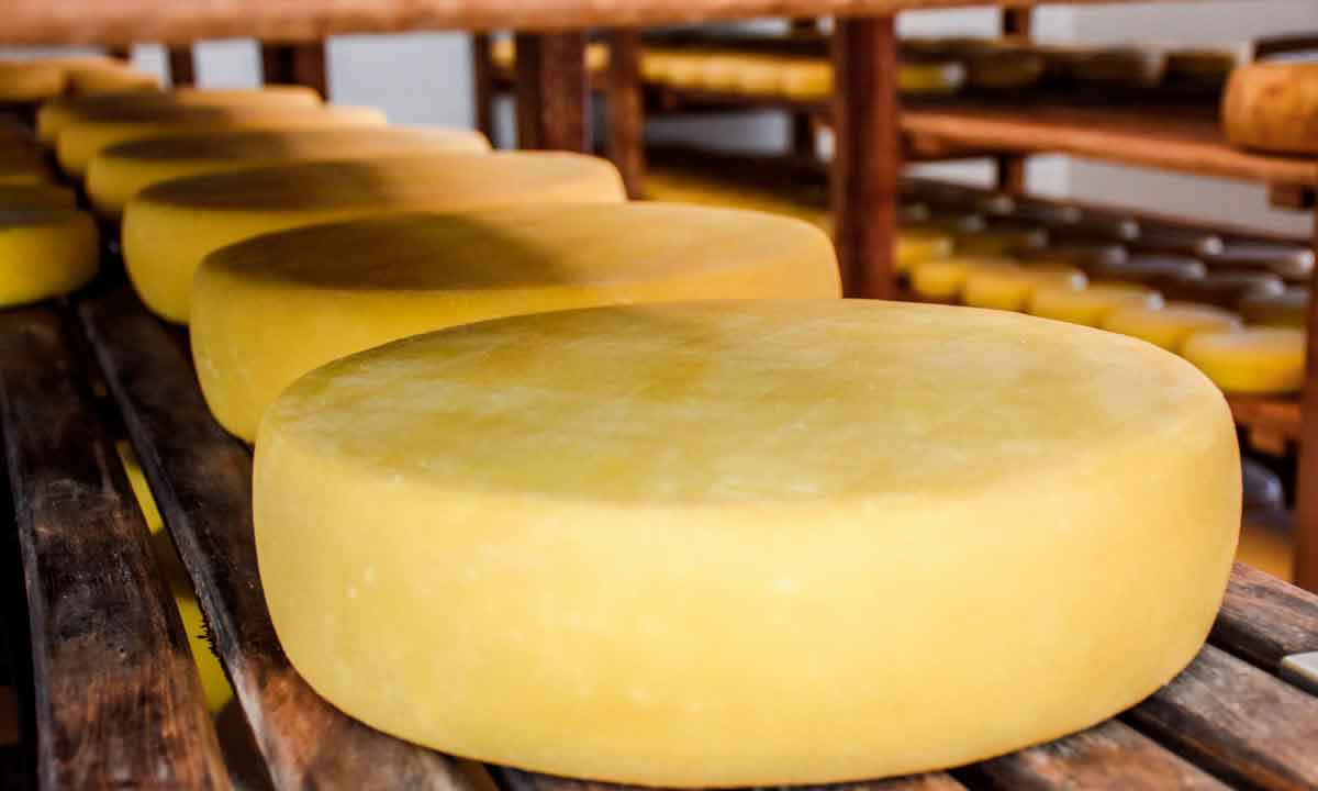 Astro da gastronomia, queijo canastra é importante atração turística - Franciely Eduarda/divulgação