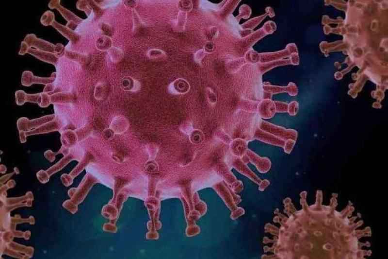 Coronavírus: nova variante é mais virulenta e pode ter escape vacinal - Reprodução