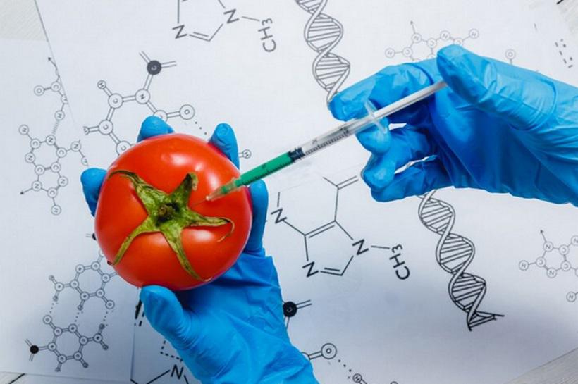 No DNA: como a genética interfere na necessidade nutricional