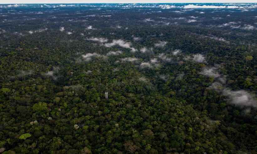 Helicóptero com 3 a bordo desaparece em área amazônica - MICHAEL DANTAS / AFP