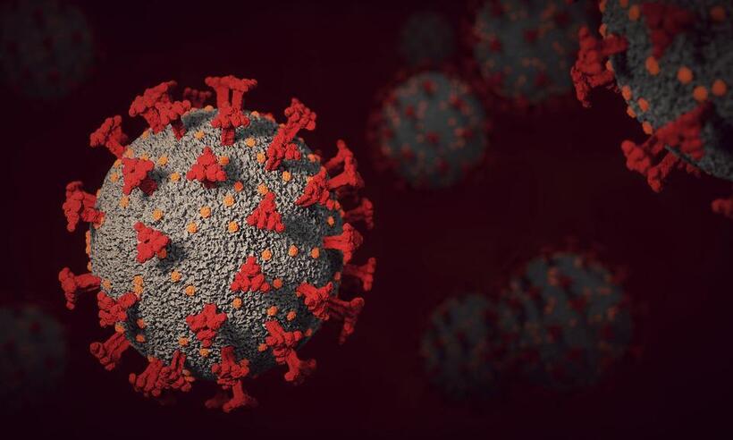 Éris: primeiro caso de nova variante do coronavírus é confirmado no Brasil  - Pixabay/Reprodução