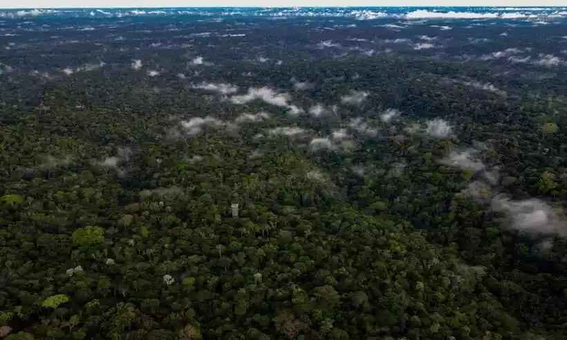 Helicóptero que desapareceu com 3 em área amazônica não poderia fazer táxi aéreo - Michael Dantas/AFP