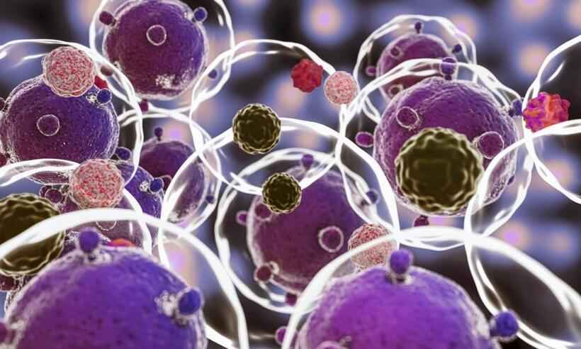 Terapia celular pode reduzir o risco de morte por COVID; aponta estudo - Freepik 