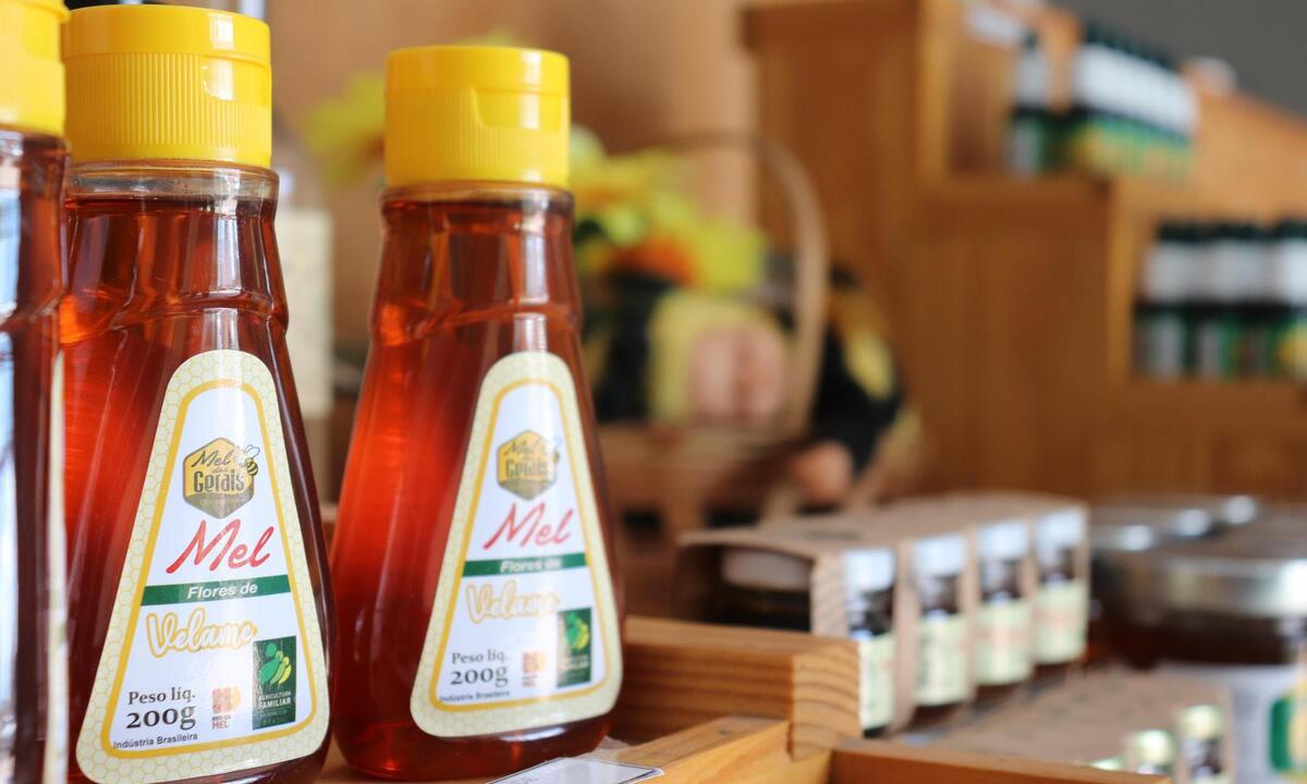 Produtores do Norte de Minas vendem 15 toneladas de mel para a Bélgica - Senar/divulgação