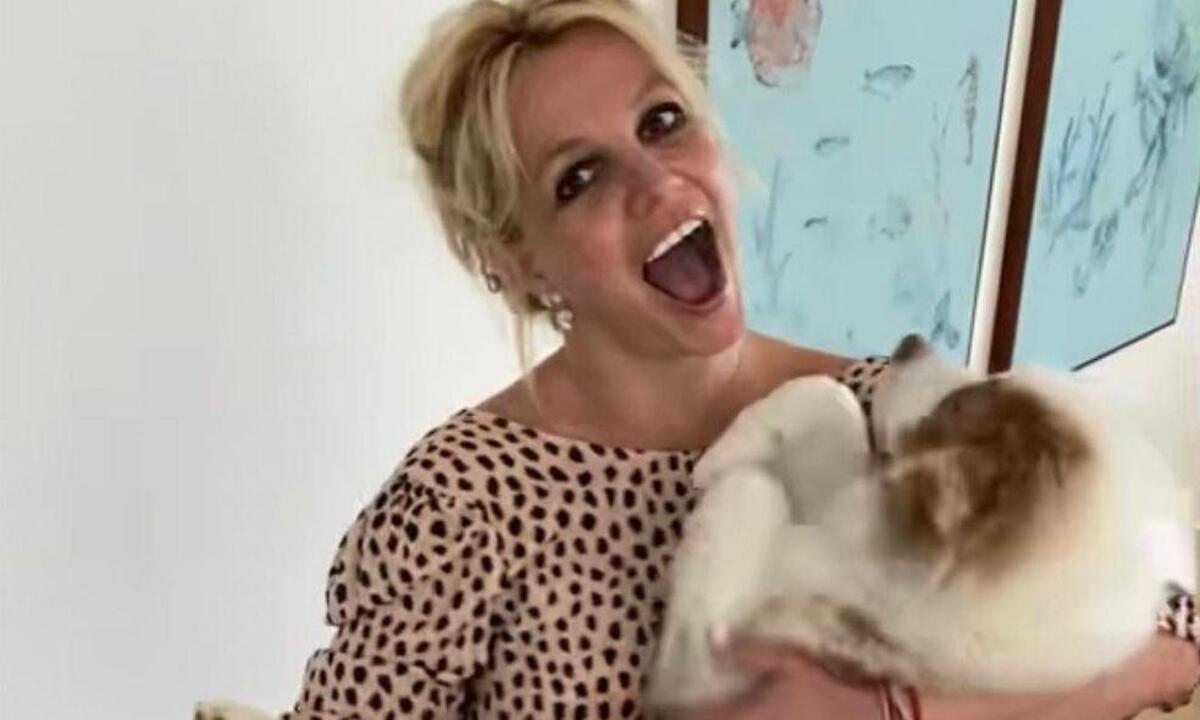 Britney Spears teme pela guarda dos cães no divórcio - Reprodução/Instagram