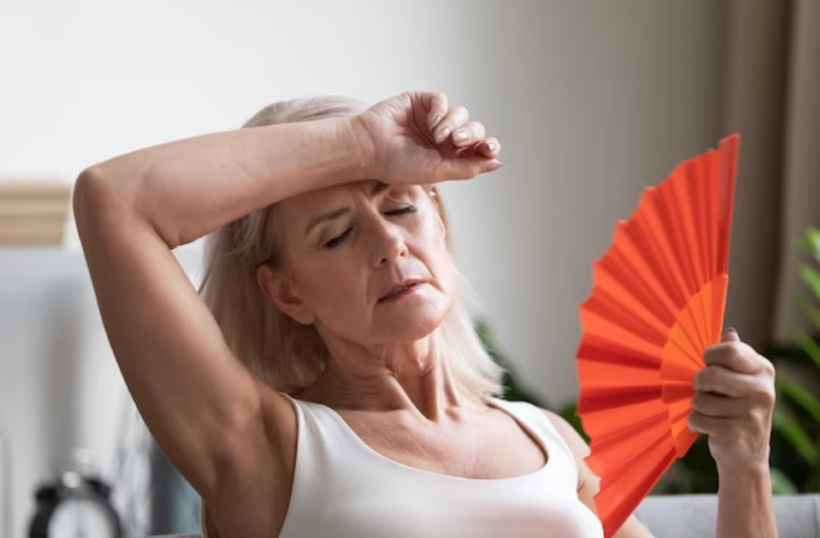 Menopausa: quatro sementes que podem aliviar os sintomas