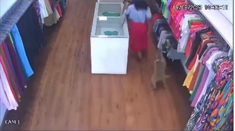 "Só corri", afirma gerente da loja que pitbull invadiu em MG - (Reprodução/Redes Sociais)