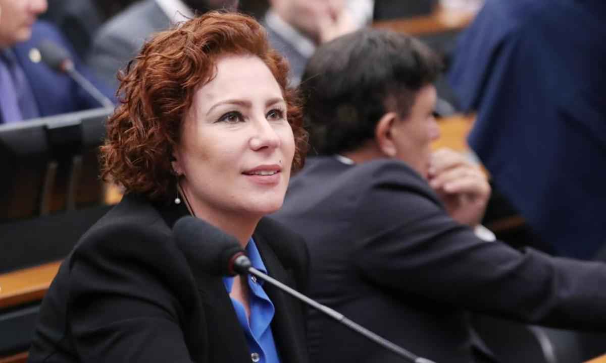 Bolsonarismo não abandonou Carla Zambelli, garante Feliciano - Reprodução/Câmara dos Deputados